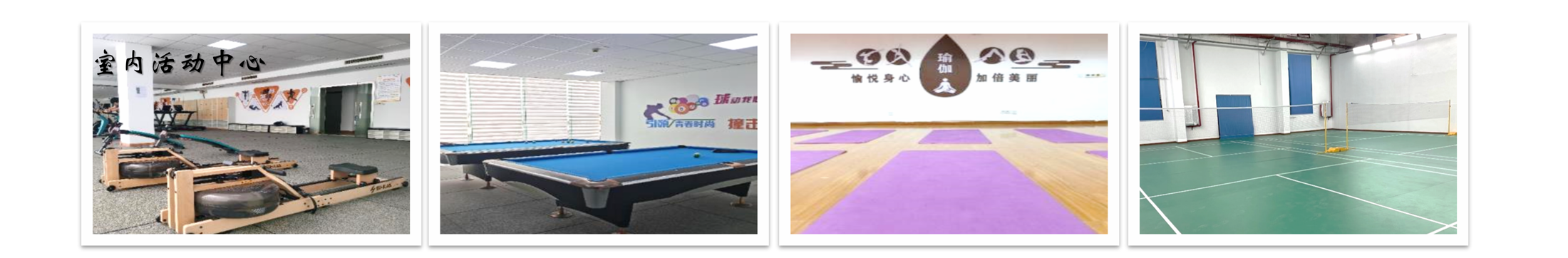 1066vipÍþÄá˹(Öйú)ÓÐÏÞ¹«Ë¾-¹Ù·½ÍøÕ¾